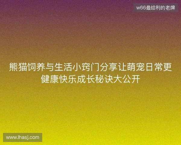 熊猫饲养与生活小窍门分享让萌宠日常更健康快乐成长秘诀大公开 熊猫饲养与生活小窍门分享让萌宠日常更健康快乐成长秘诀大公开