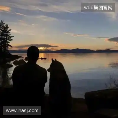 鲁能琛
